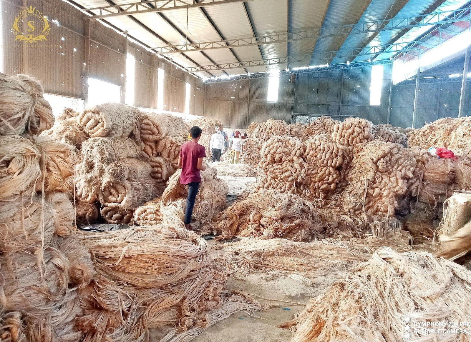 why-jute